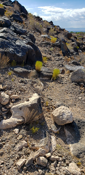 Petroglyph National Monument
